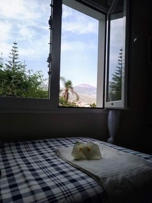 Apartamento Humboldt ,Island Paradise La Orotava Kültér fotó